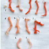 coral charms